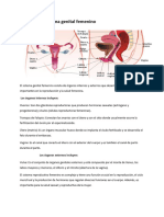 Aparato Rep Fem Mascsist Endocrino