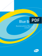 Blue Book Romanian