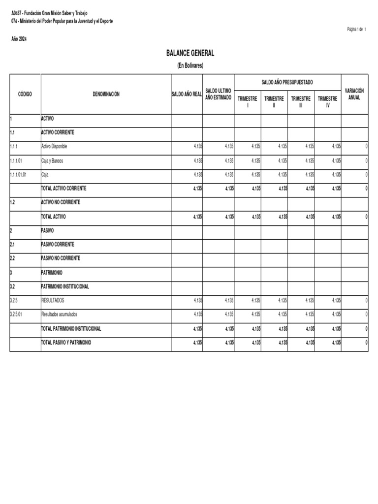 Balance General Fundación Gran Misión | PDF | Contabilidad | Hoja de ...