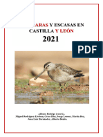 Aves Raras y Escasas de León 2021