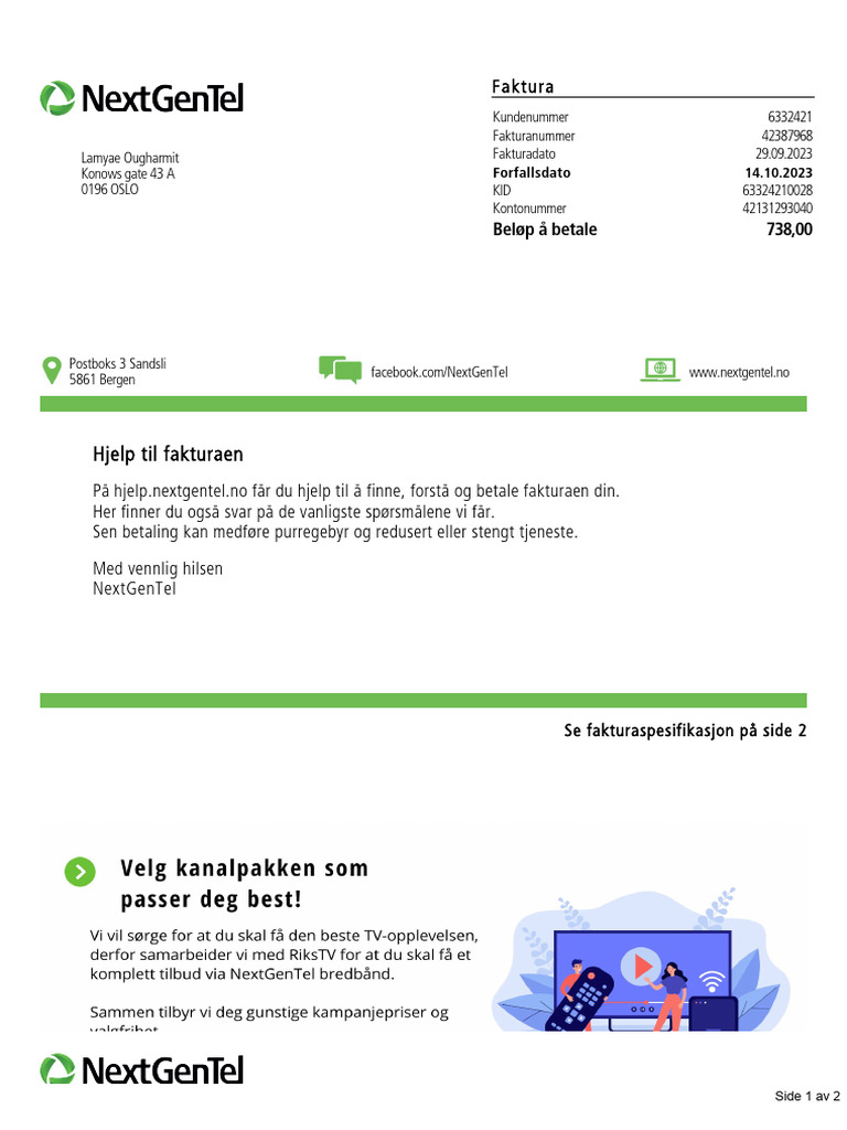 Hjelp Til Fakturaen: Faktura | PDF