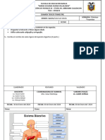 Examen Tercer Quimerstre Ciencias Naturales