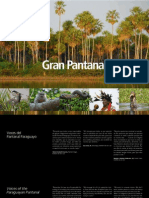 GRAN PANTANAL PARAGUAY - Emily Y. Horton - PortalGuarani