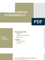 1.2 - Primera Semana de Desarrollo