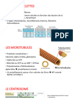 Cours 2 Cytosquelettes