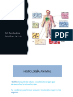 Histologia Animal