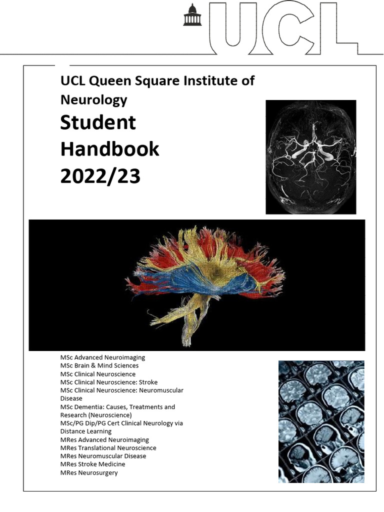 HANDBOOK OF CLINICAL NEUROLOGY 2024 PDF visual data 8
