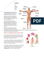 El Cuerpo Humano 2023