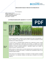 Caso Práctico - Cultivos Energéticos