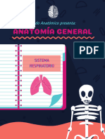 Anatomía General (Sistema Respiratorio) - Mundo Anatómico