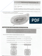 Números Racionales