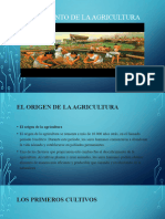 Importancia de La Agricultura