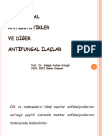 Anti̇fungal Bi̇leşi̇kler