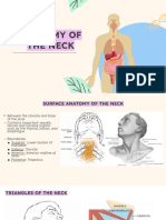 Anatomy of The Neck