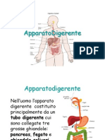 Digerente IIE 2011