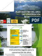 Presentacion - Plan Maestro Acri - Arau