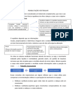 Reabilitação Vestibular