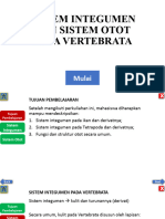 Pertemuan 5 Sistem Integumen Dan Muskulus