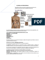 Endocrinologia