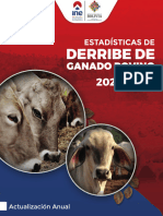 Derribe de Ganado Bovino 2020-2021