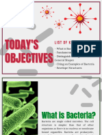 Bacterial Morphology