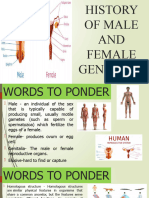 History of Male and Female Genitalia