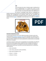 Clasificación de La Limonita, Estructura, Componentes y Color