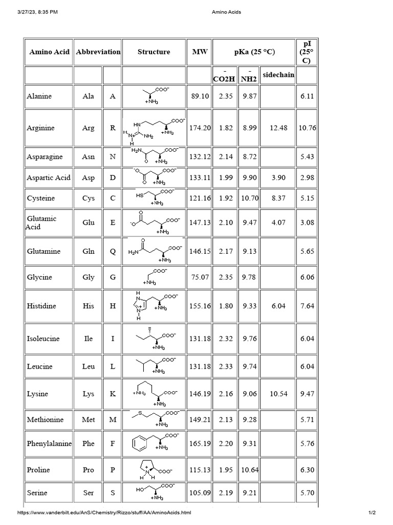 Amino Acids | PDF | Amino Acid | Biomolecules