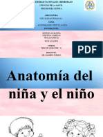Anatomia Del Niño y La Niña
