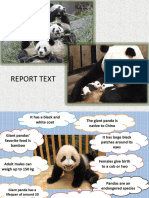 Report Text Key Features