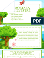 Planta Silvestre