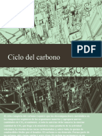 Ciclo Del Carbono