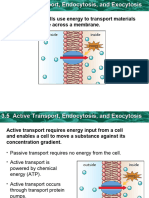 Key Concept: Cells Use Energy To Transport Materials That Cannot Diffuse Across A Membrane