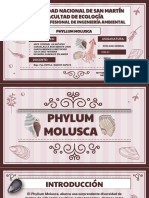 Zoología-Phylum Mollusca-Grupo 1