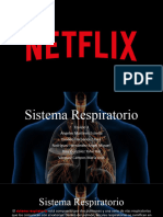 Sistema Respiratorio Equipo 3