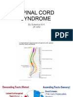 Spinal Cord Syndrome
