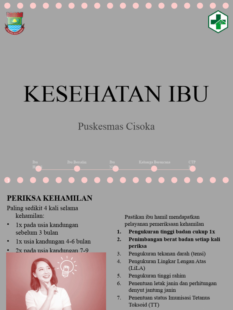 Kesehatan Ibu Dan KB | PDF