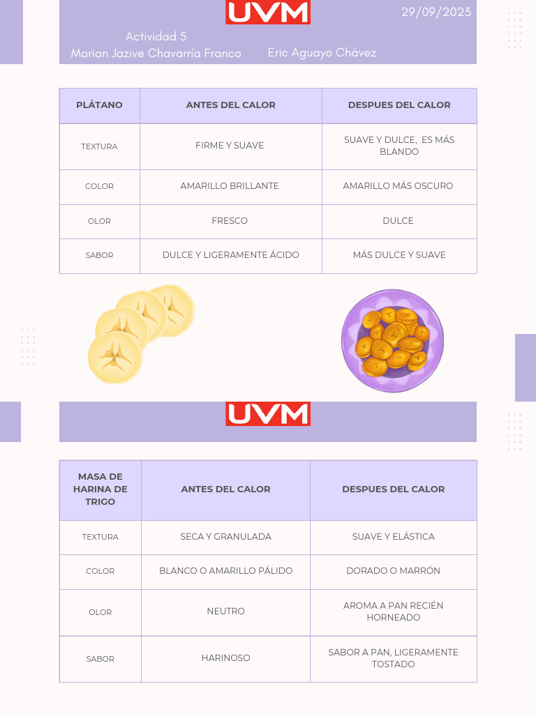 Cambios en Alimentos al Cocinarlos | PDF | Panes | Cocinando