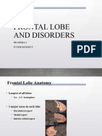 Frontal Lobe and Disorders