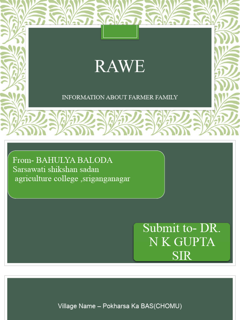 Bahulya Baloda Rawe | PDF | Agriculture | Wheat