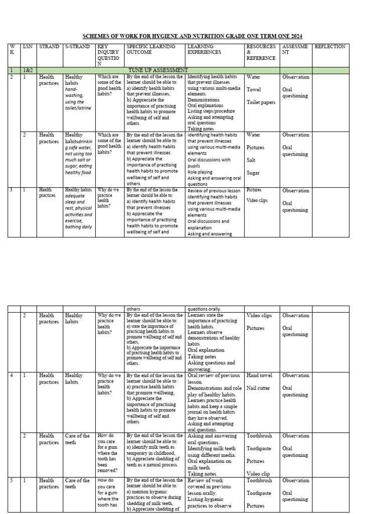 Grade 1 Term 1 2024 Hygiene & Nutrition Schemes Ms Word1 | PDF ...