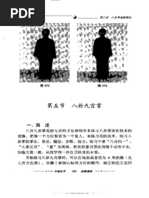 八卦九宫掌| PDF