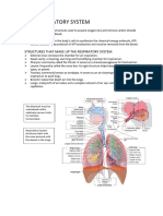 The Respiratory System