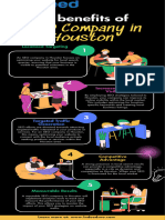 Green Houston Infographic