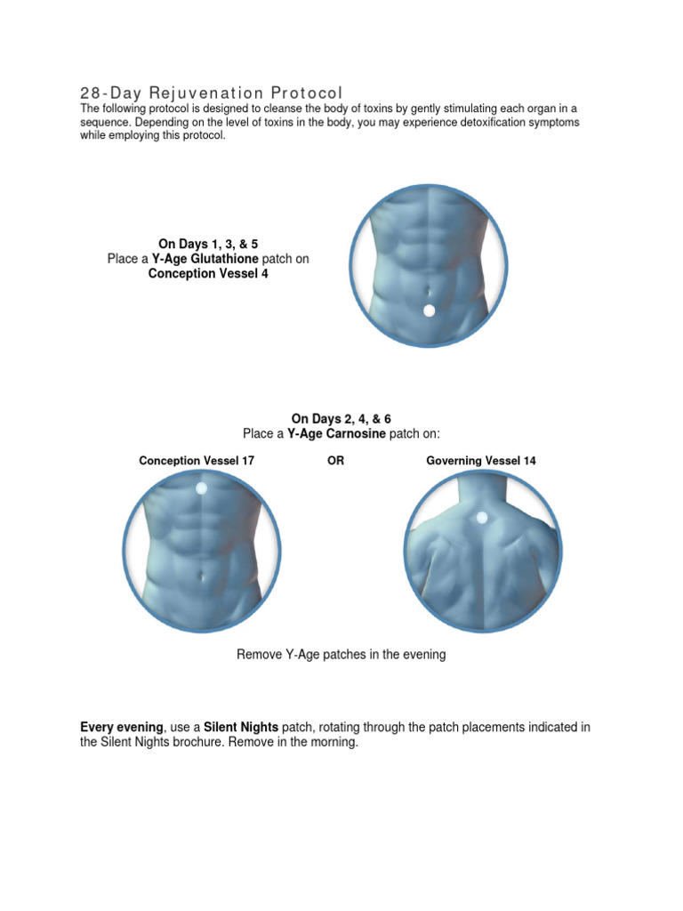 28day-Protocol Rejuvenation | PDF