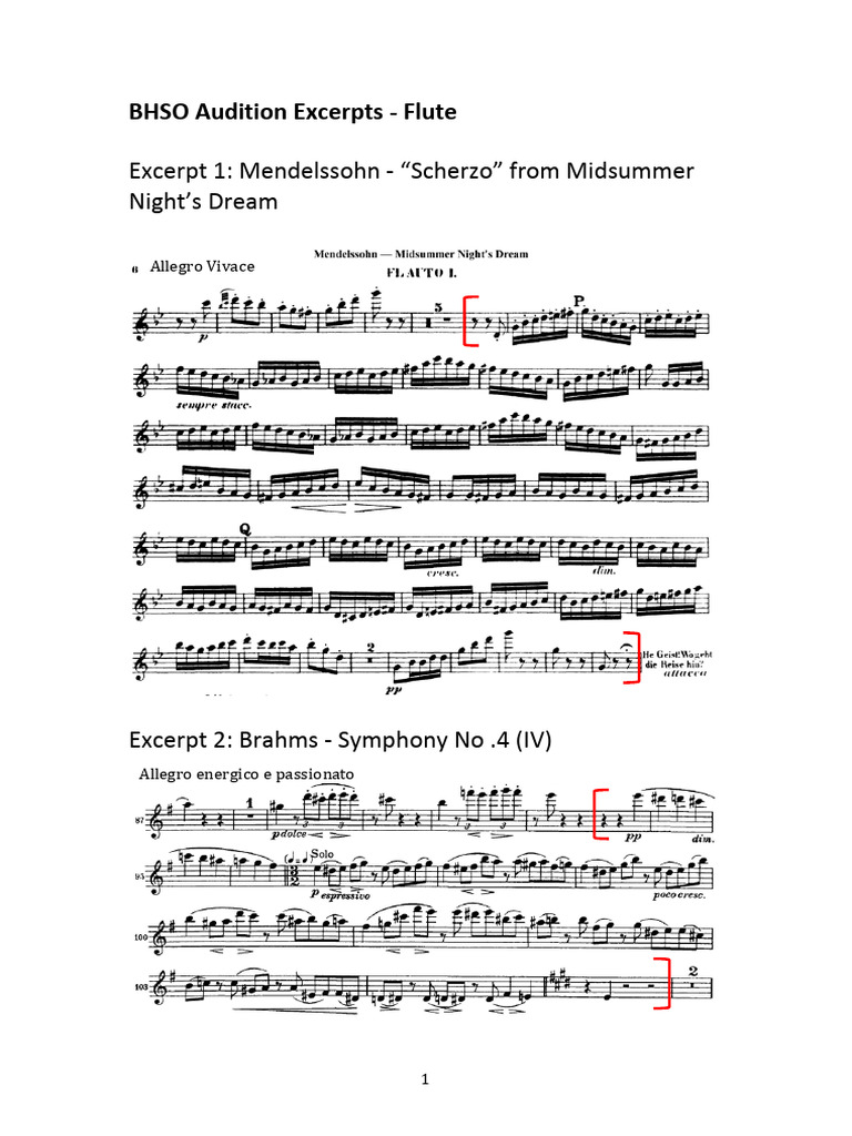 BHSO Audition Excerpts Flute PDF