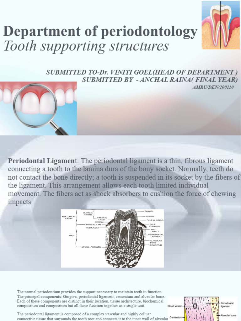 Presentation 3 | PDF | Bone | Periodontology