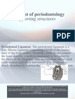Department of Periodontology: Tooth Supporting Structures