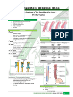 ENT - Anatomy and Physiology of Aerodigestive Tract (2014)