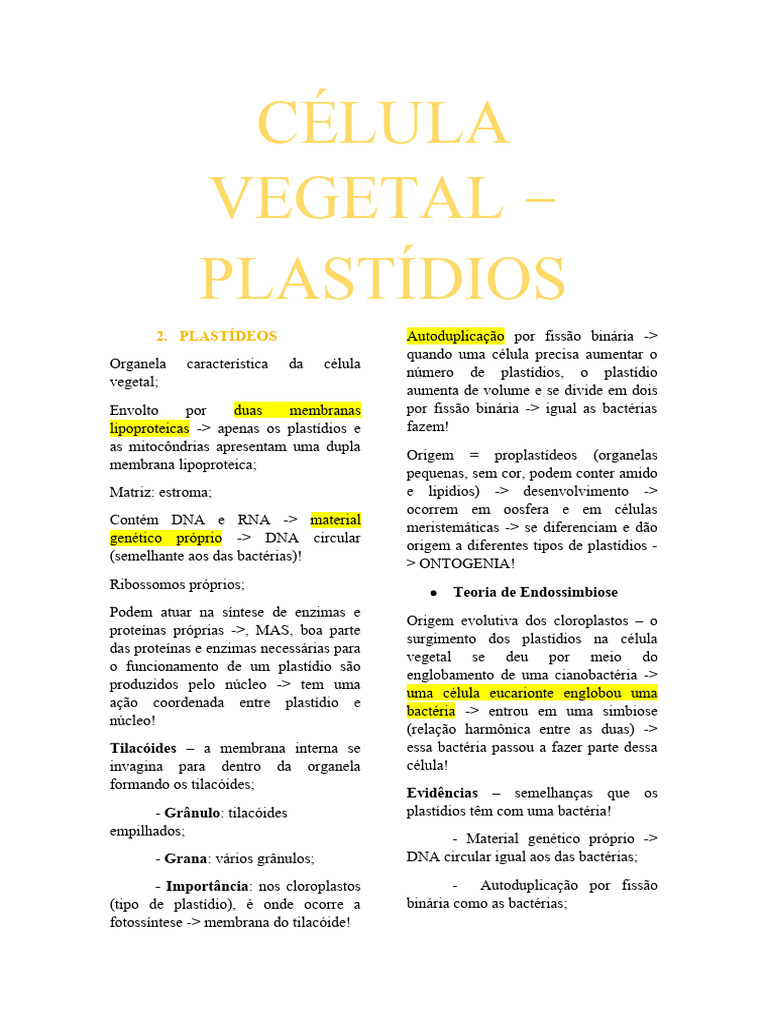 Celulose como estrutura composta orgânica a partir do diagrama de contorno  das células vegetais Vetor de stock de ©VectorMine 517327478, image size:768x1024